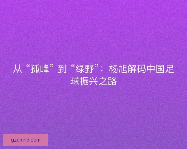 从 “孤峰” 到 “绿野”：杨旭解码中国足球振兴之路